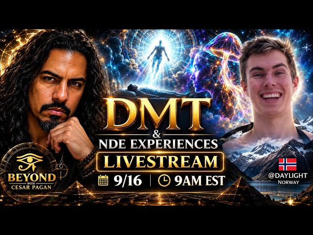 DMT & Near-Death Experiences Are We Seeing the Same Place | LIVE