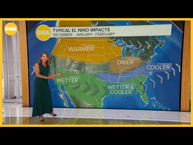 Winter forecast