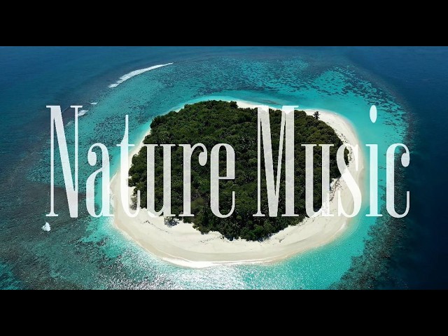 Feel Free 🌴 4K Summer Chill Music & Tropical Island Visuals