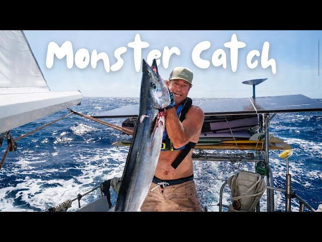 Catch and cook sailing across the Pacific Ocean..Ep 502