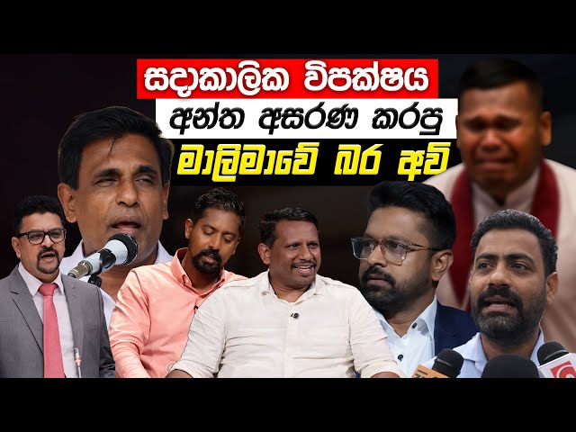 විපක්ෂය අසරණ කරපු මාලිමාවේ බර අවි | Sinhala memes | Sri Lankan Political memes 2026 #sinhalamemes