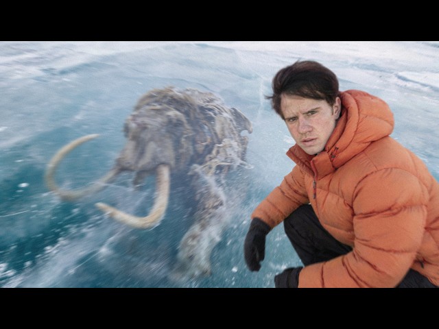 How This Extinct Creature is Getting Brought Back to Life...