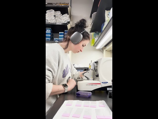 A Day in the Life of an Undergrad Neuroscience Researcher