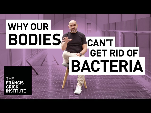Why can bacteria live inside us for decades? - Max Gutierrez - Lifeworks