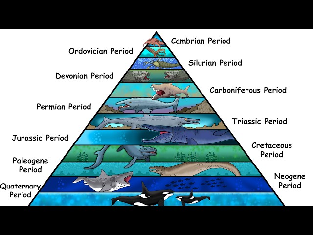 The Deadliest Sea Animal From Every Single Period