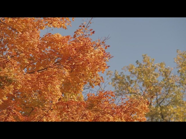 The Old Farmers' Almanac 2026 fall forecast: What it predicts for US weather