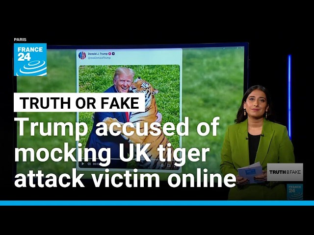 Trump sparks outrage over AI tiger video after sharing footage of fatal UK attack • FRANCE 24