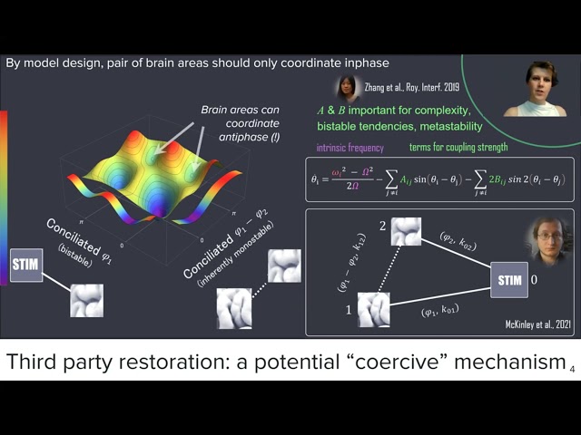 A theory of nonlinear dynamics for neurostimulation (2021) Tognoli McKinley & Beetle @ Neuromatch 4