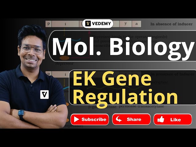 Eukaryotic Gene Regulation | Molecular Biology | Virendra Singh | CSIR | GATE | DBT | ICMR | CUET |