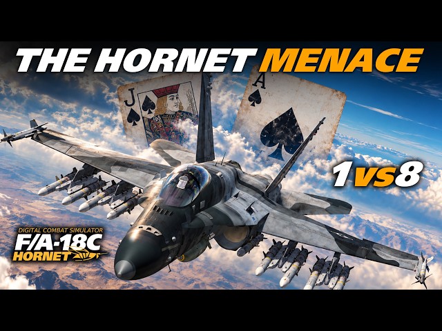 No Fly Zone Enforcer F/A-18C Hornet | Digital Combat Simulator | DCS |