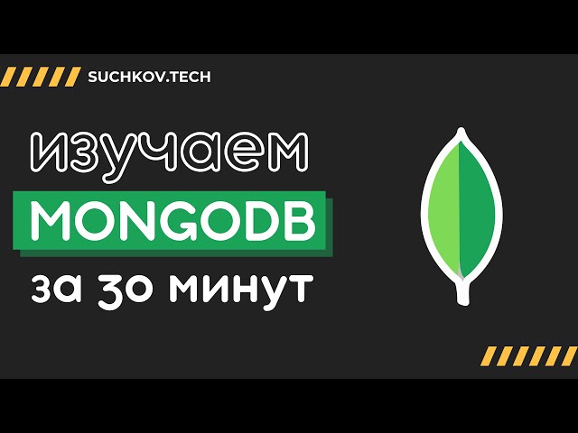MongoDB: Everything You Need to Know in 30 Minutes