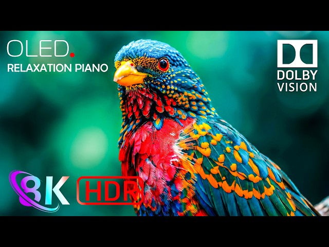 BEST OLED Display Test in 16K Dolby Vision HDR 120fps for 4K • 8K Video Ultra HD TVs