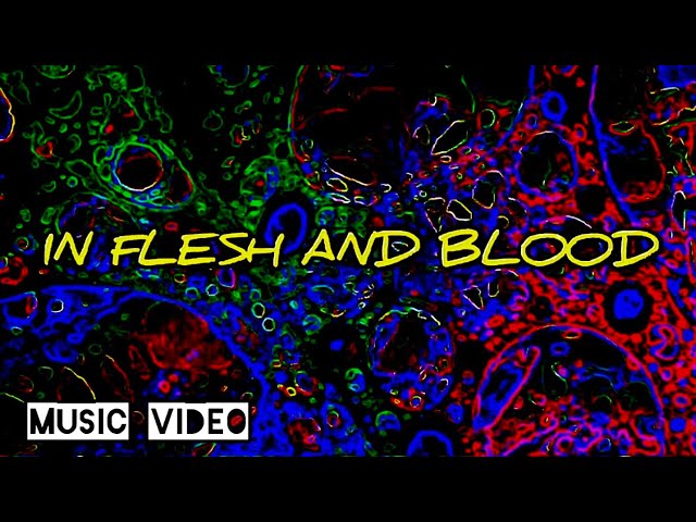 in flesh and blood [Trippy Psychedelic Fractals Music Video]