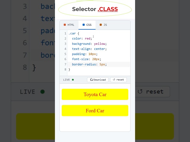 HTML CLASS Selector #coding #programming #csstutorial