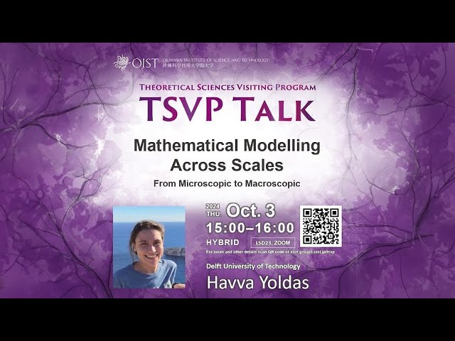 Havva Yoldas: Mathematical Modelling Across Scales: From Micro to Macroscopic (TSVP Talk at OIST)
