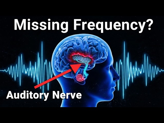 If Your Ear Ringing Never Stops, Your Brain Is Missing This Frequency