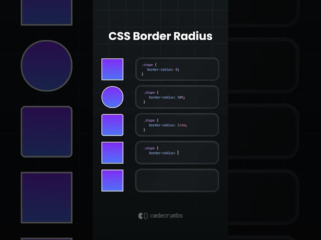 Learn CSS Border Radius - #css #coding #frontend