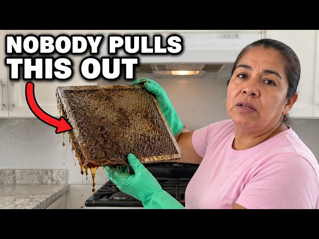 Pull THIS Out of Your Range Hood and Your Kitchen Will Never Smell Greasy Again (The Mexican Way)