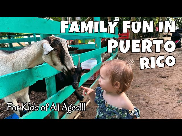 Fun For The Whole Family In Puerto Rico | La Granja De Abuelo