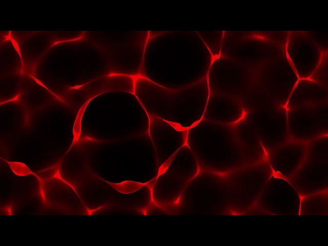 15 Minutes of Hypnotic Abstract Motion | 4K Ultra HD VJ Loop ⚡
