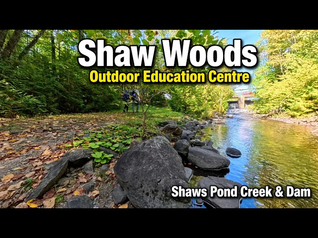 Shaw Woods Outdoor Education Centre shaws pond creek and dam