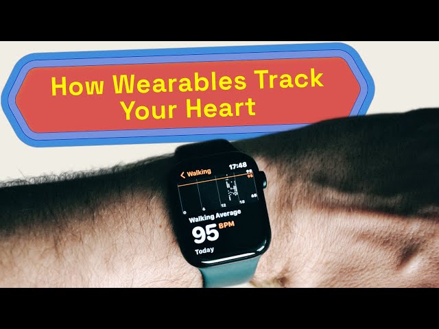How Wearables Measure Your Heart: The Science of PPG