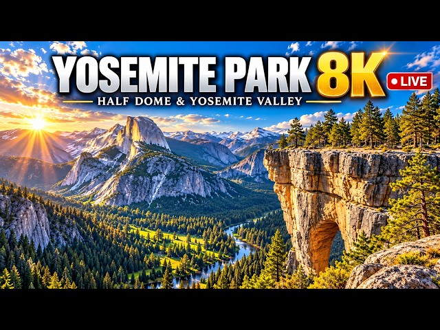 🔴 LIVE: YOSEMITE NATIONAL PARK 8K | Stunning Nature, Waterfalls & Relaxing Scenery