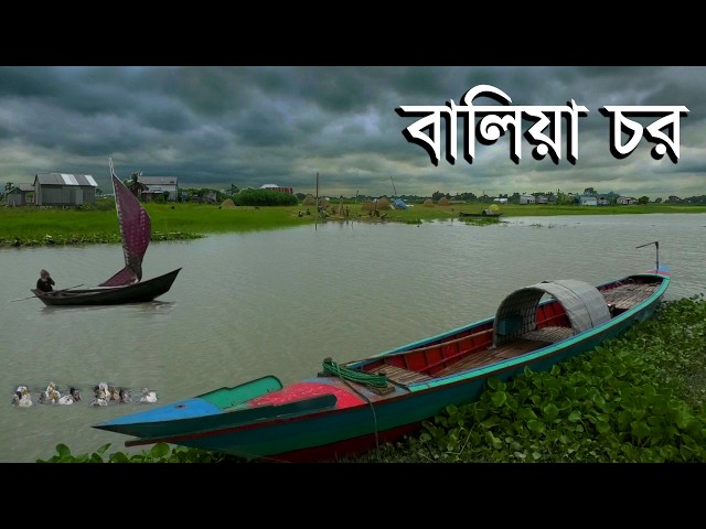 ফরিদপুরের বালিয়া চরের জীবন | Panorama Documentary