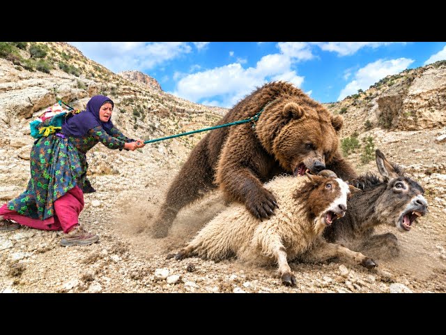 😭🐆 "They were looking for a lost sheep when suddenly a leopard attacked!"