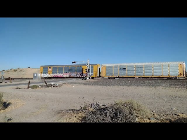 Railfanning Hodge CA! 9-14-2026 #bigbossrailfanner