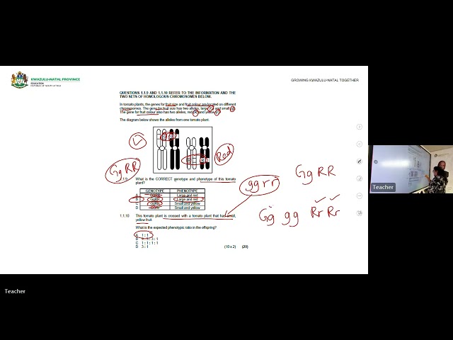 VirtualTuitionProgramme Life Sciences September Examination Revision   Paper 2 2026 09 11