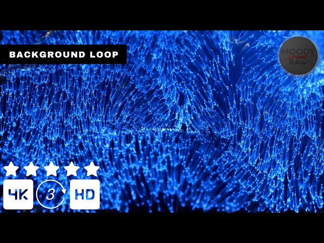 Blue Liquid Luxury 4K Visual Loop (Silent) | Calm Ambient Background | Seamless Loop