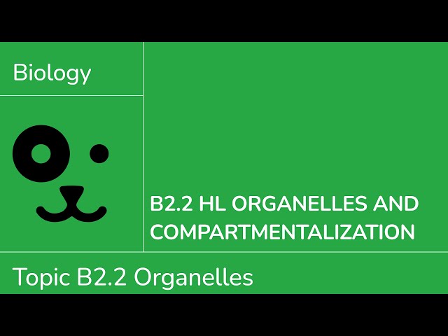 B2.2 HL Organelles and Compartmentalisation [IB Biology HL]