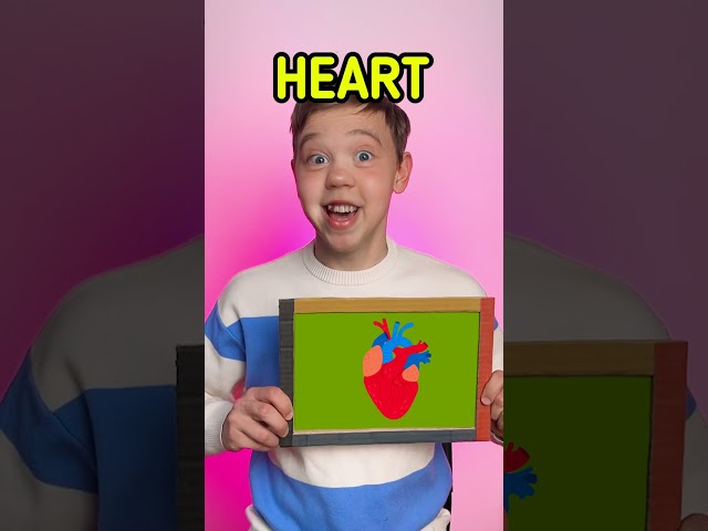✨ FUN Organs Learning With DINOSAUR BODY 🦖 #kids #learn