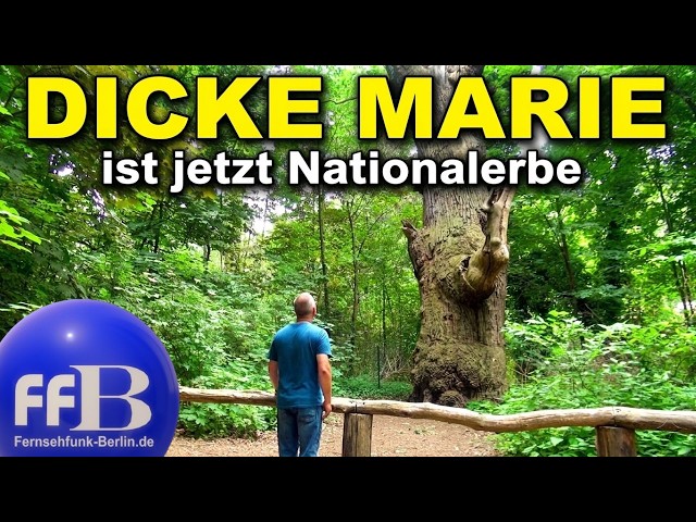 “Dicke Marie” added to the national heritage list