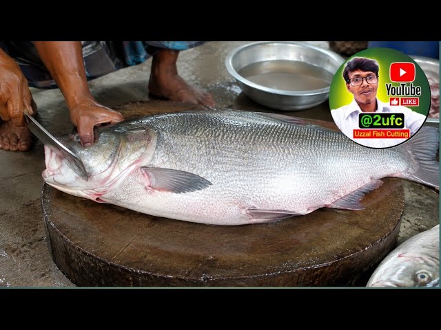 🔴Uzzal Fish Cutting Live Now!!All Fish Cutting Skills🐠 🔪🔪🐠#short #shortfeed #2ufc#fish#vairal.