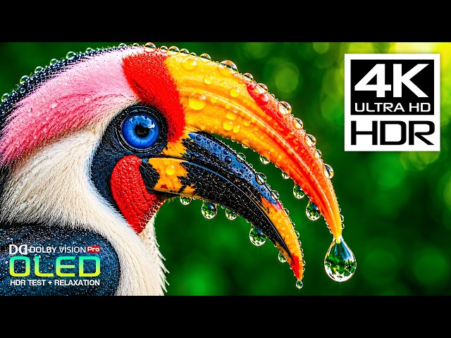 Amazing Nature Video 4K HDR 120FPS | Dolby Vision Ultra HD (8K/4K Video TV)