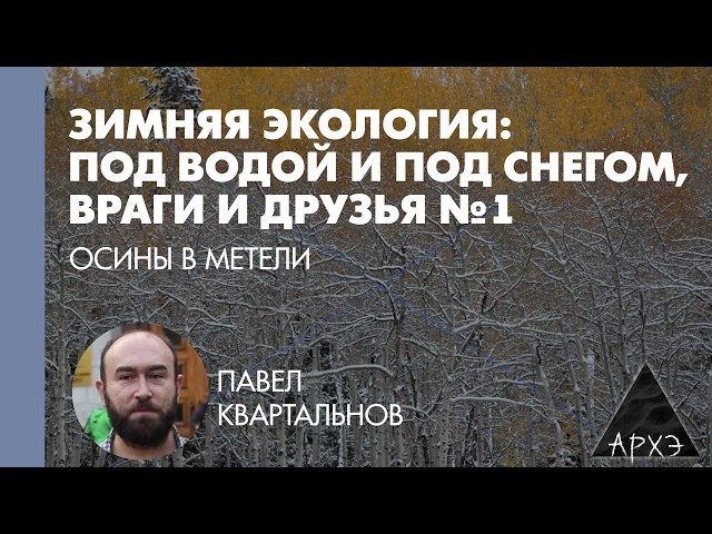 Pavel Kvartalny: Winter Ecology — Under Water and Under Snow, Enemies and Friends
