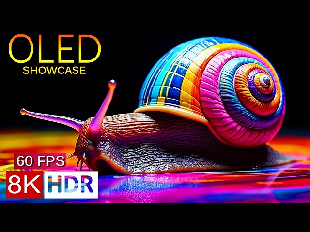 Pure Clarity 8K HDR 60fps – Ultimate OLED Showcase