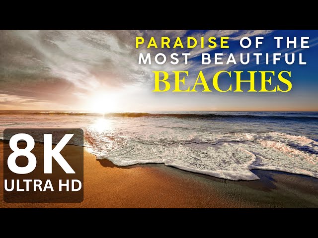 Nature’s Masterpiece – The Most Beautiful Beach Paradise Vision at 240 fps (8K / 4K Video TV TEST )