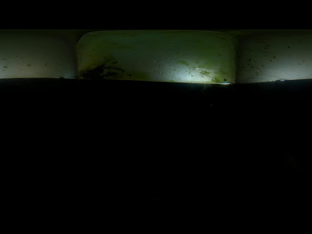 Koi Pond Underwater 360 with Kandao Qoocam Enterprise