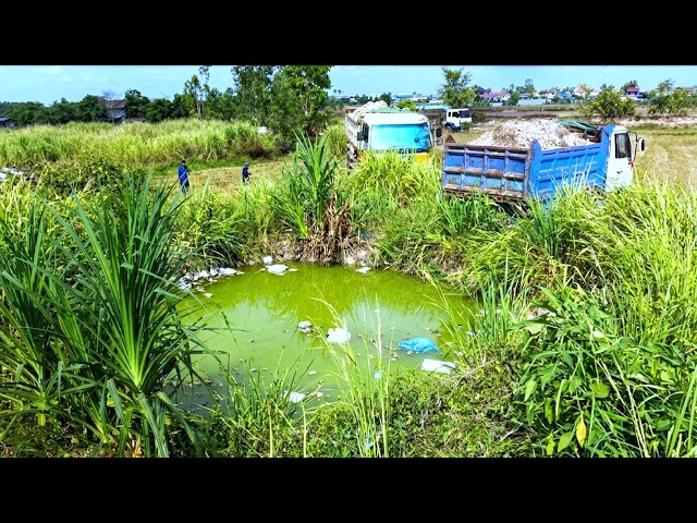 First Start Amazing PROJECT!! Filling Land Delete Deep Fish Pond Use Strong Bulldozer & 5Ton Truck.
