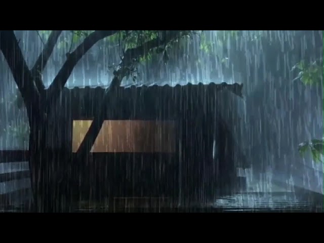 6 Hours of Soothing Rain on a Tin Roof & Distant Thunder for Deep Sleep & Relaxation