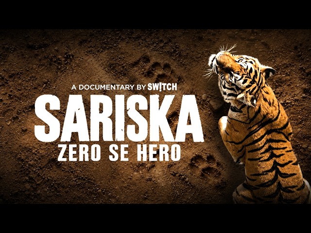 Sariska Tiger Reserve: From Zero to Hero | The Biggest Comeback