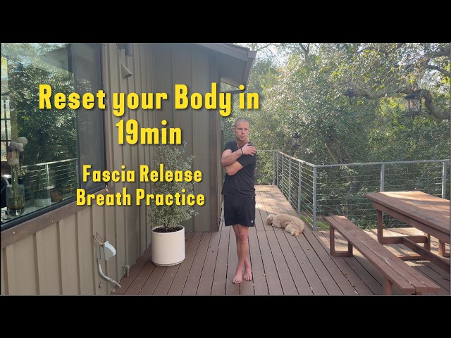 19-Minute Nervous System Reset (Trauma & Emotional Release Practice)