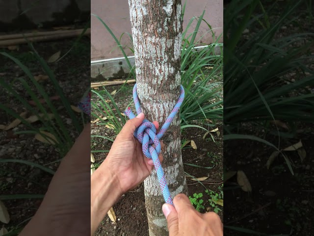 Incredible Bowline Knot With Extra Loop #knot #survivalknots #rope