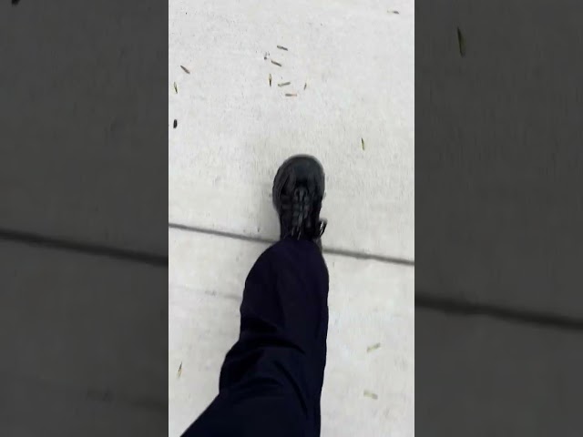 Vlog 408 Part 2
