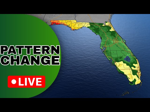 🔴FLORIDA WEATHER LIVE | Storm Chances Rise In Florida