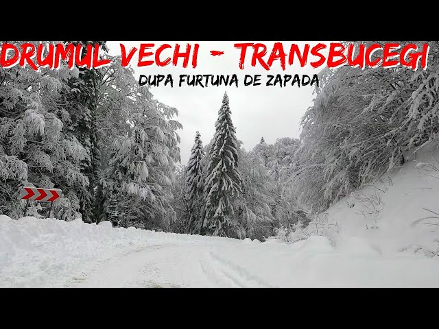 Drumul vechi de iarna - Transbucegi - Moroeni - Sanatoriu - Lacul Bolboci