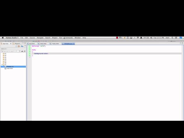 HTML & CSS external styles - aptana